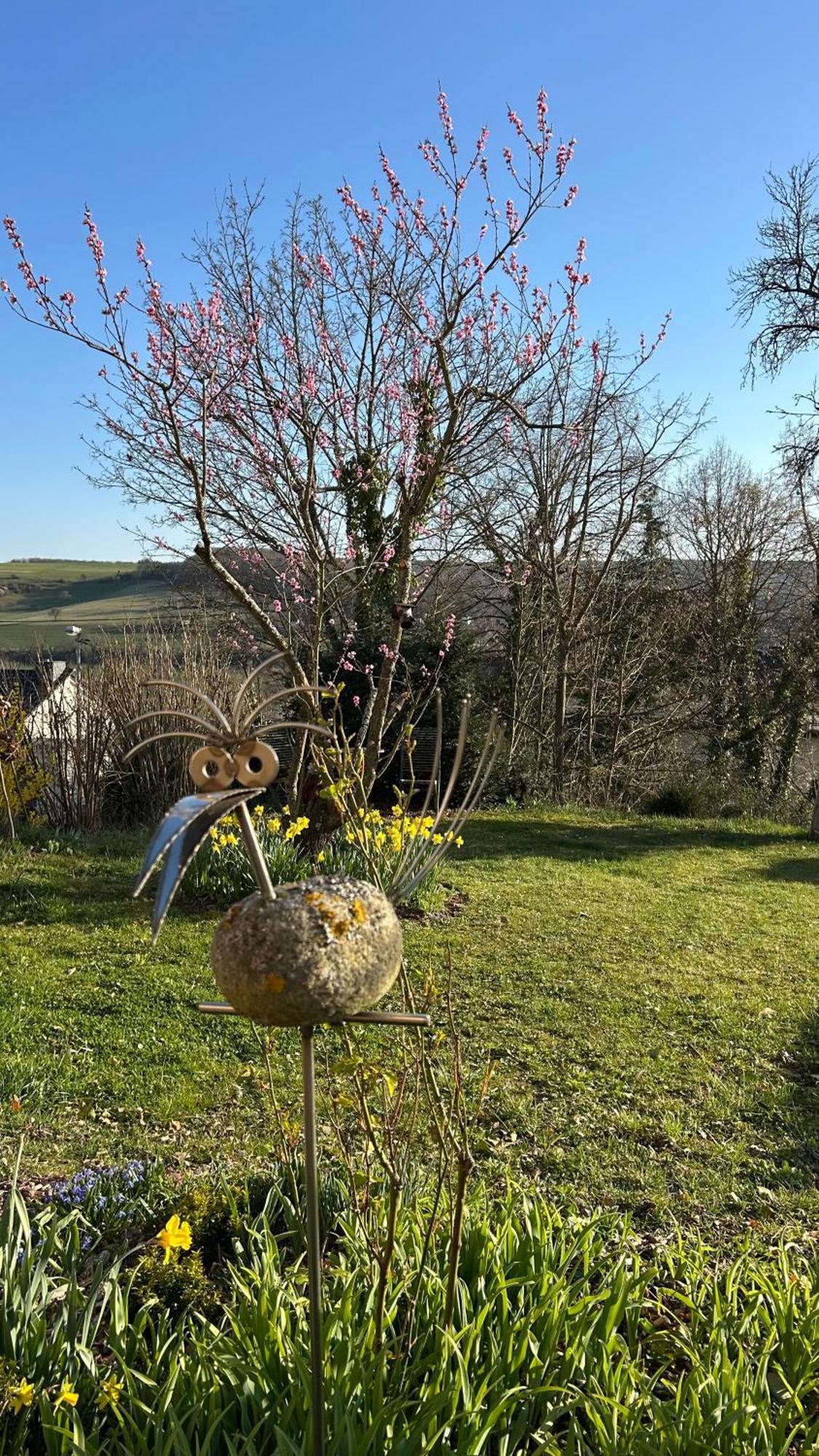 바트소베른하임 Panoramablick 아파트 외부 사진
